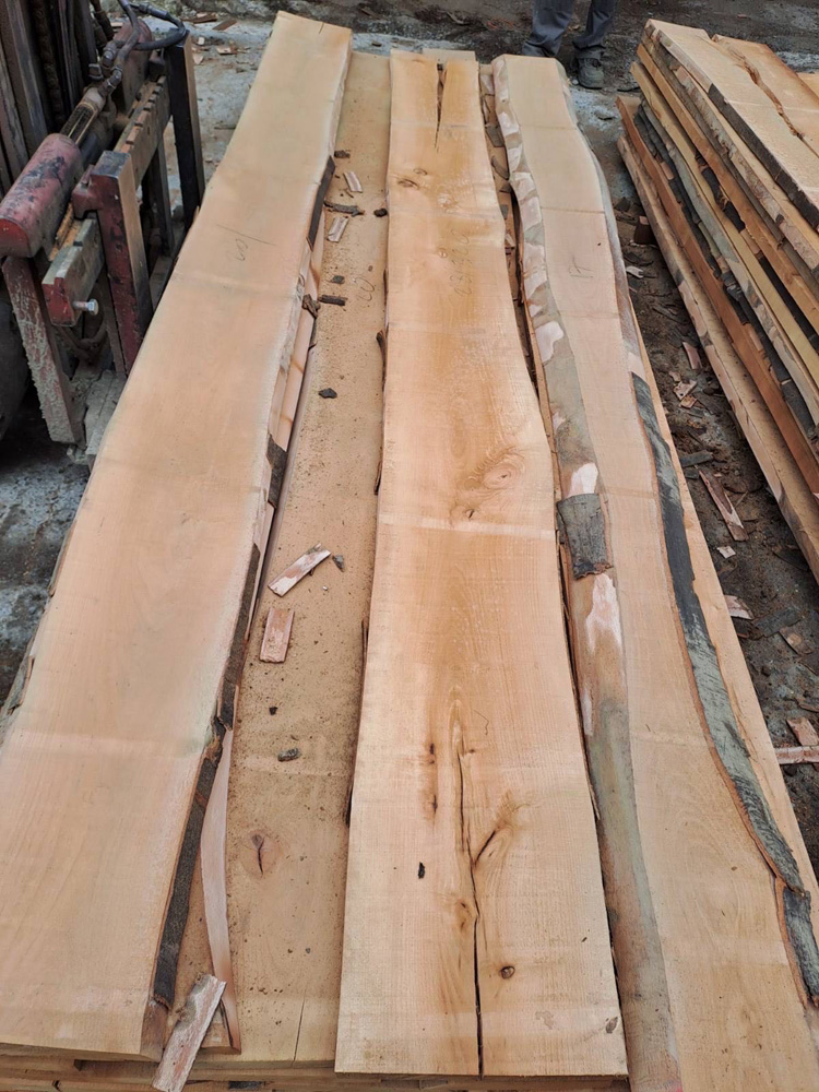 Parena bukva ABC kvaliteta2